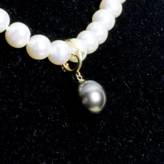 DZ.00191.00001