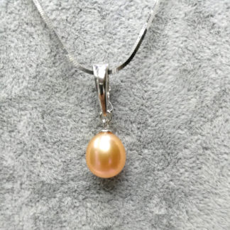 DZ.00170.00001