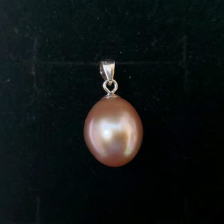DZ.00129.00017