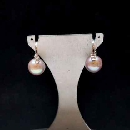 Violetti - Image 5
